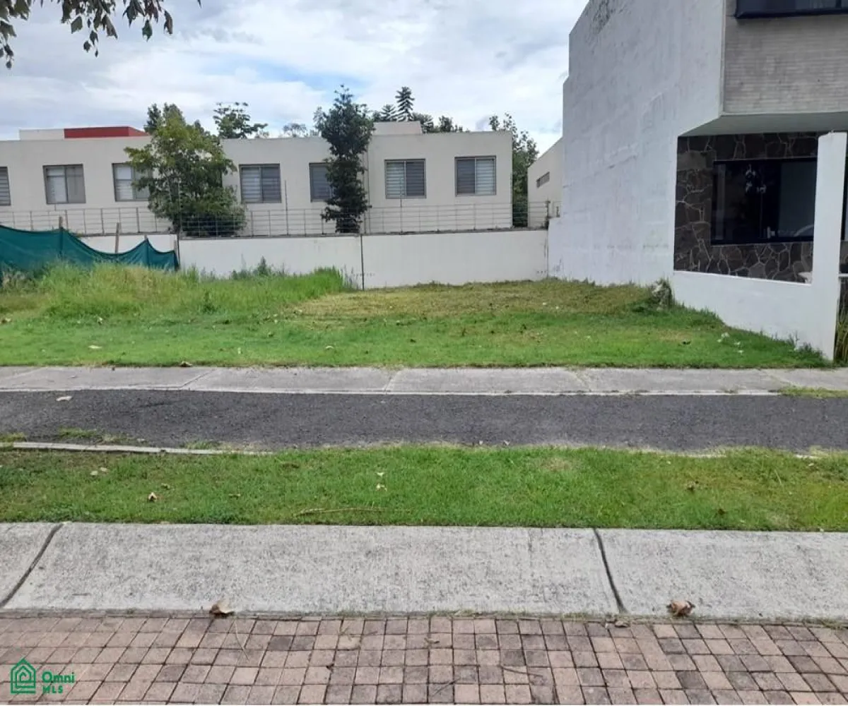 Terreno En Venta,Fraccionamiento Bosques Vallarta,CIRCUITO DEL BOSQUE 330, Zapopan, Jalisco 45019,CIRCUITO DEL BOSQUE,MX25985746