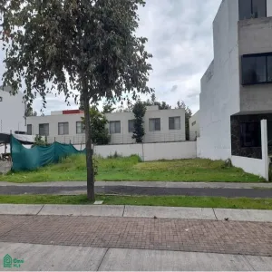 Terreno En Venta,Fraccionamiento Bosques Vallarta,CIRCUITO DEL BOSQUE 330, Zapopan, Jalisco 45019,CIRCUITO DEL BOSQUE,MX25985746