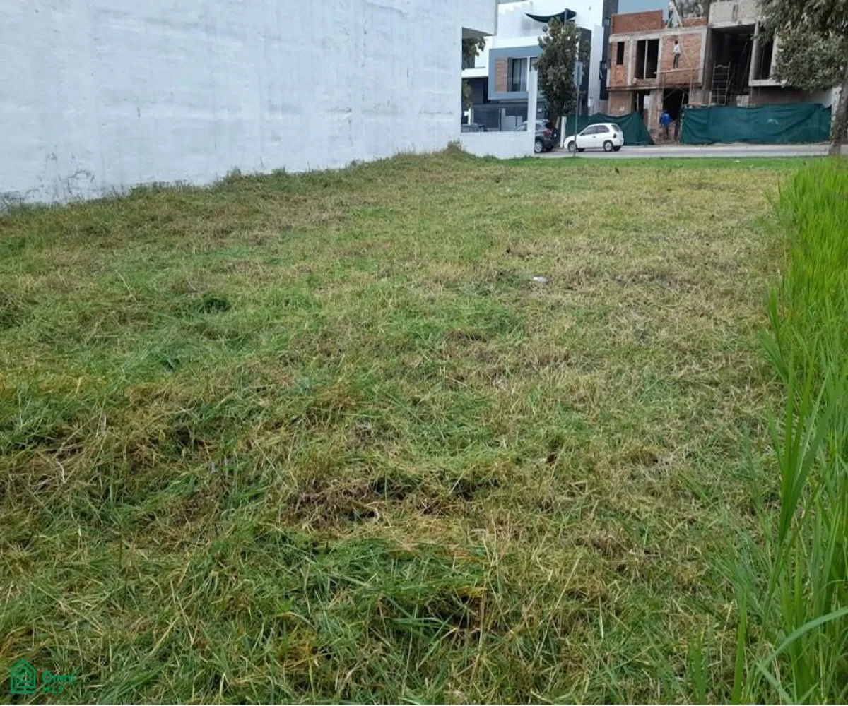 Terreno En Venta,Fraccionamiento Bosques Vallarta,CIRCUITO DEL BOSQUE 330, Zapopan, Jalisco 45019,CIRCUITO DEL BOSQUE,MX25985746