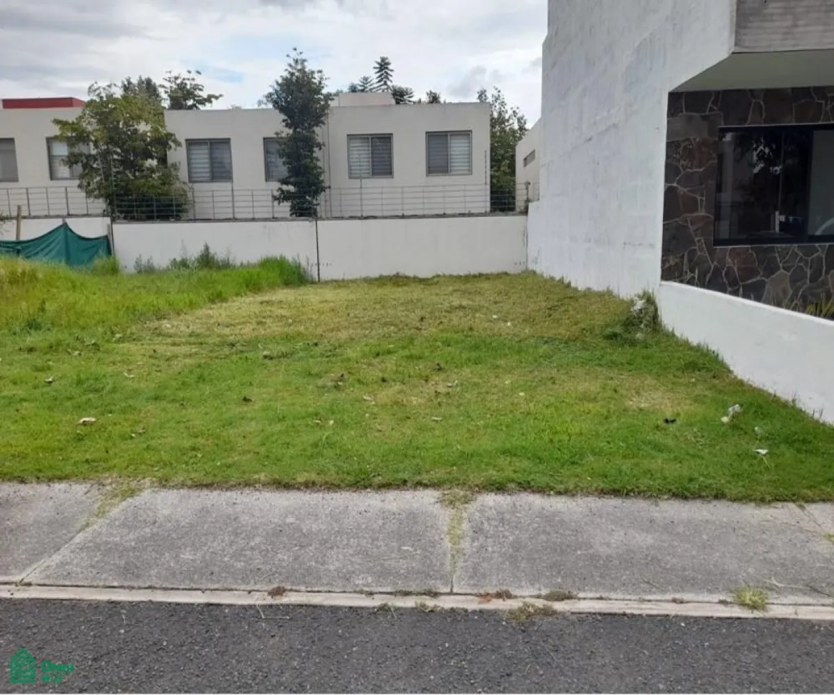 Terreno En Venta,Fraccionamiento Bosques Vallarta,CIRCUITO DEL BOSQUE 330, Zapopan, Jalisco 45019,CIRCUITO DEL BOSQUE,MX25985746