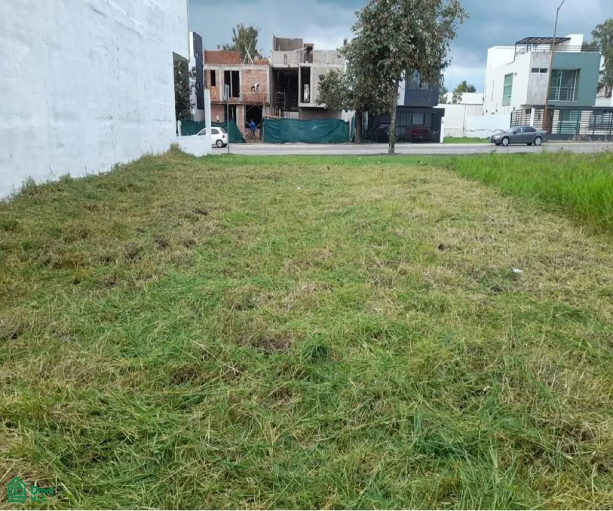 Terreno En Venta,Fraccionamiento Bosques Vallarta,CIRCUITO DEL BOSQUE 330, Zapopan, Jalisco 45019,CIRCUITO DEL BOSQUE,MX25985746