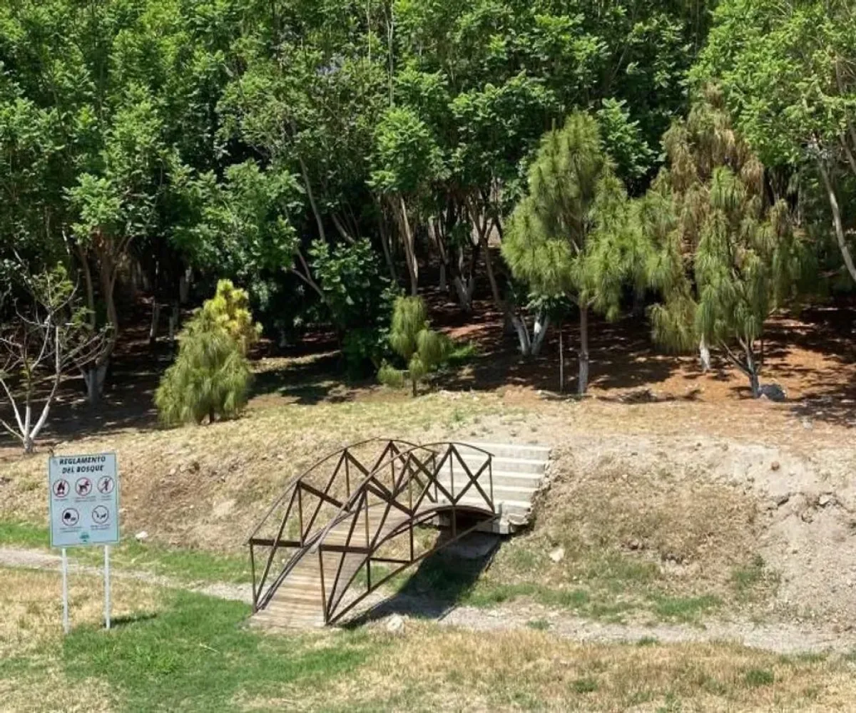 Terreno En Venta,Santa Anita 601 58, Tlajomulco de Zúñiga, Jalisco 45600,Santa Anita,p6xH8tu