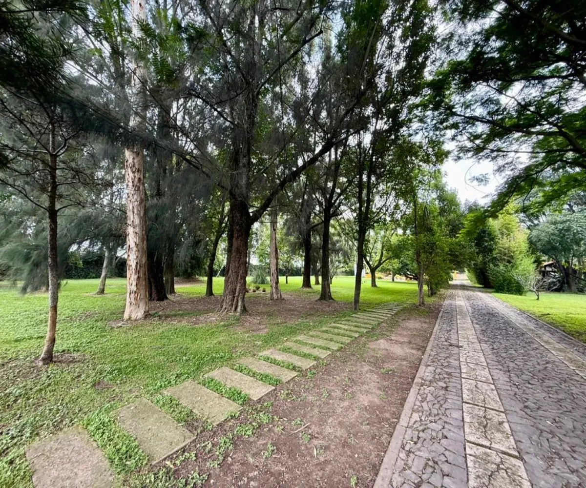 En Renta,La Mojonera,Los Naranjos S/N, Zapopan, Jalisco 45019, 7 Habitaciones,8 Baños,Los Naranjos,1,pEqzTD7