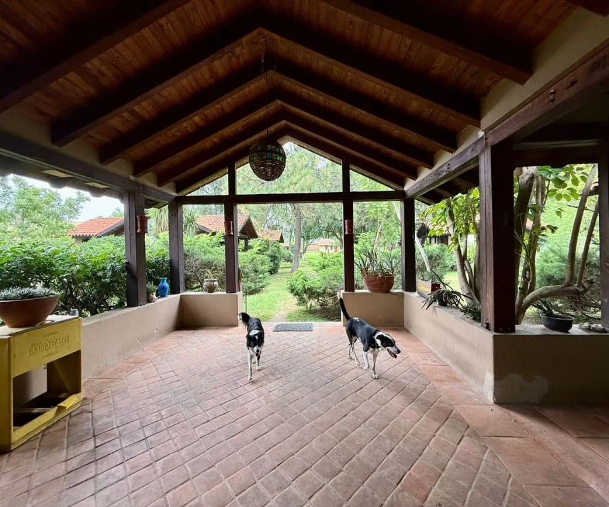 En Renta,La Mojonera,Los Naranjos S/N, Zapopan, Jalisco 45019, 7 Habitaciones,8 Baños,Los Naranjos,1,pEqzTD7