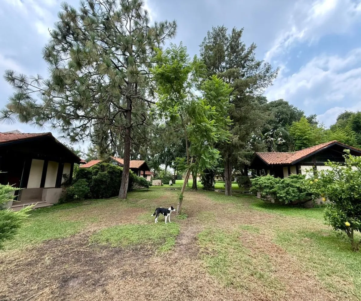 Terreno En Renta,La Mojonera,Paseo Los Naranjos S/N, Zapopan, Jalisco 45019,Paseo Los Naranjos,pQhxJLl