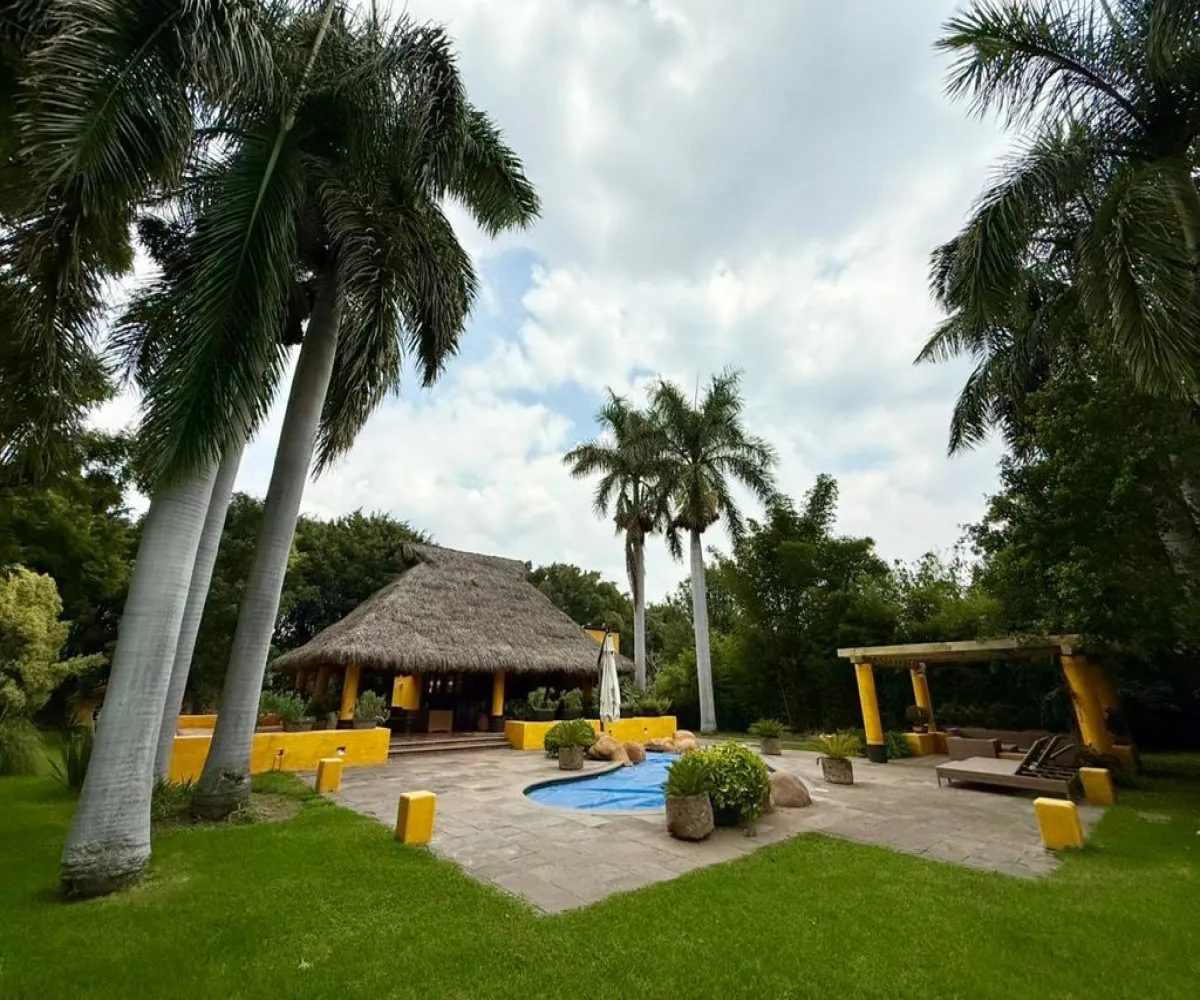 Terreno En Renta,La Mojonera,Paseo Los Naranjos S/N, Zapopan, Jalisco 45019,Paseo Los Naranjos,pQhxJLl