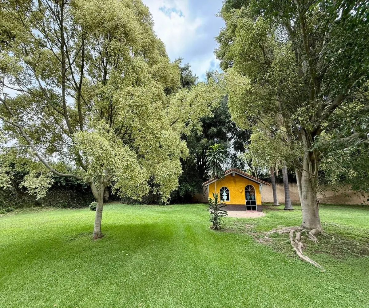 Terreno En Renta,La Mojonera,Paseo Los Naranjos S/N, Zapopan, Jalisco 45019,Paseo Los Naranjos,pQhxJLl