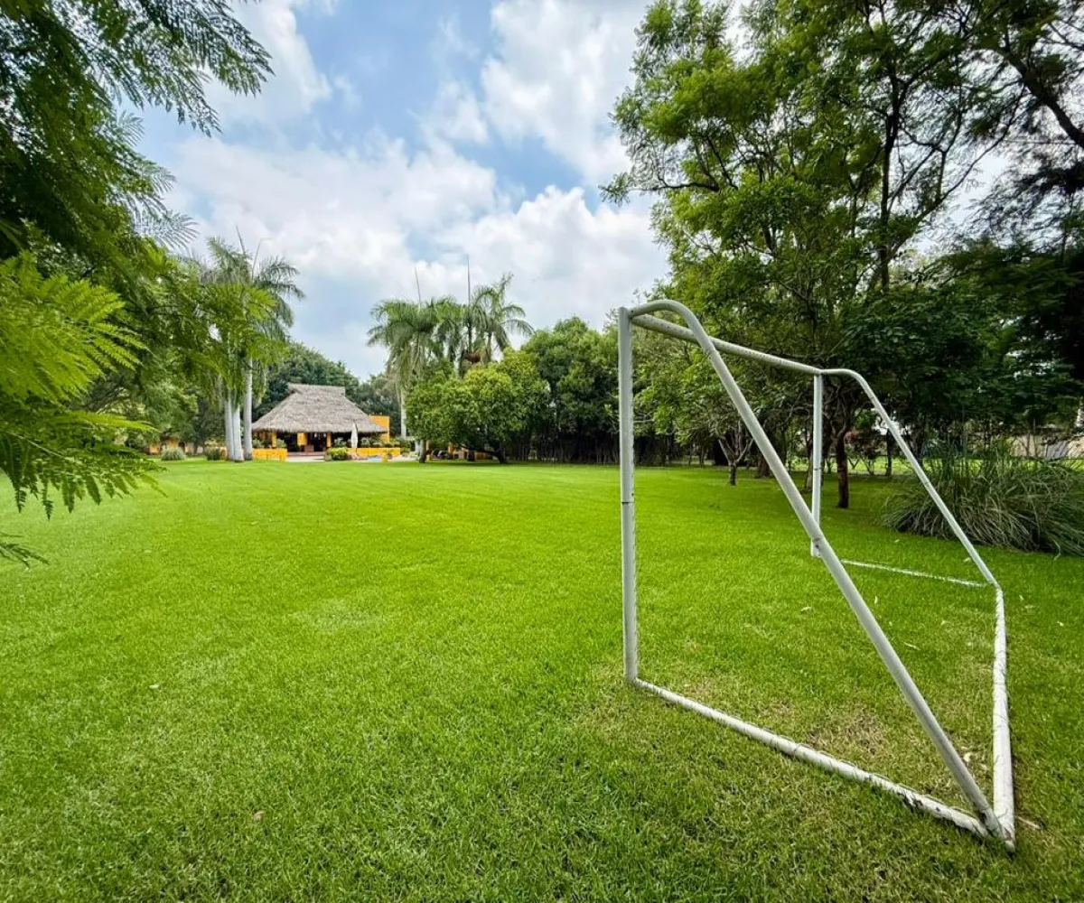 Terreno En Renta,La Mojonera,Paseo Los Naranjos S/N, Zapopan, Jalisco 45019,Paseo Los Naranjos,pQhxJLl