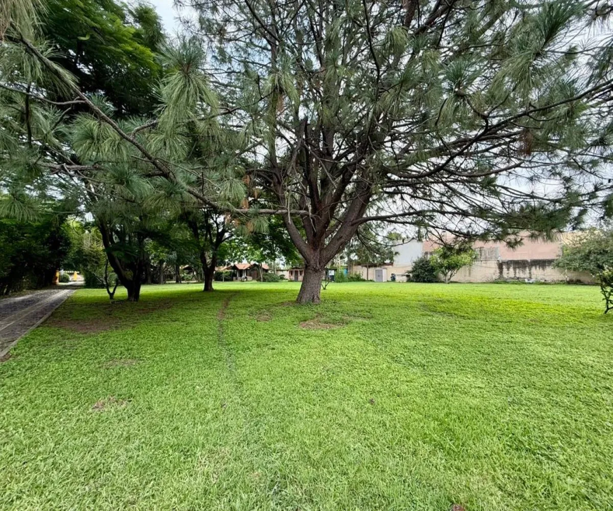 Terreno En Renta,La Mojonera,Paseo Los Naranjos S/N, Zapopan, Jalisco 45019,Paseo Los Naranjos,pQhxJLl