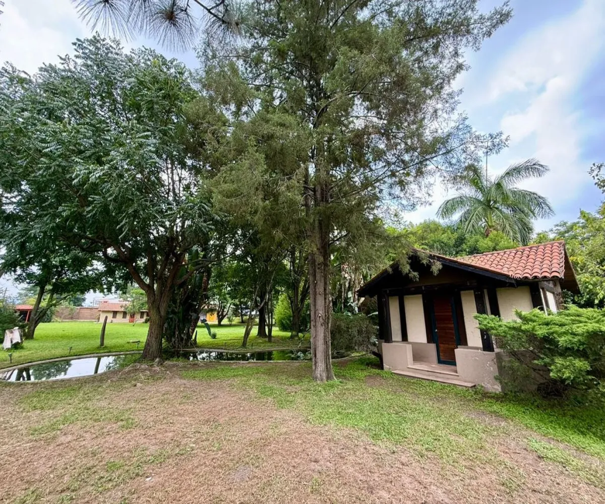 Terreno En Renta,La Mojonera,Paseo Los Naranjos S/N, Zapopan, Jalisco 45019,Paseo Los Naranjos,pQhxJLl