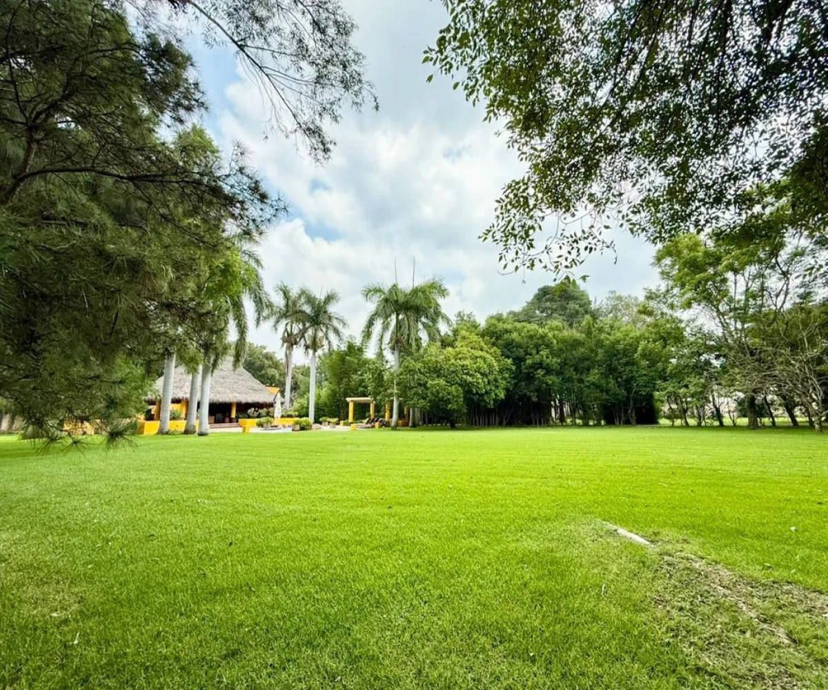 En Renta,La Mojonera,Paseo Los Naranjos S/N, Zapopan, Jalisco 45019,8 Baños,Paseo Los Naranjos,1,ptlt0bh