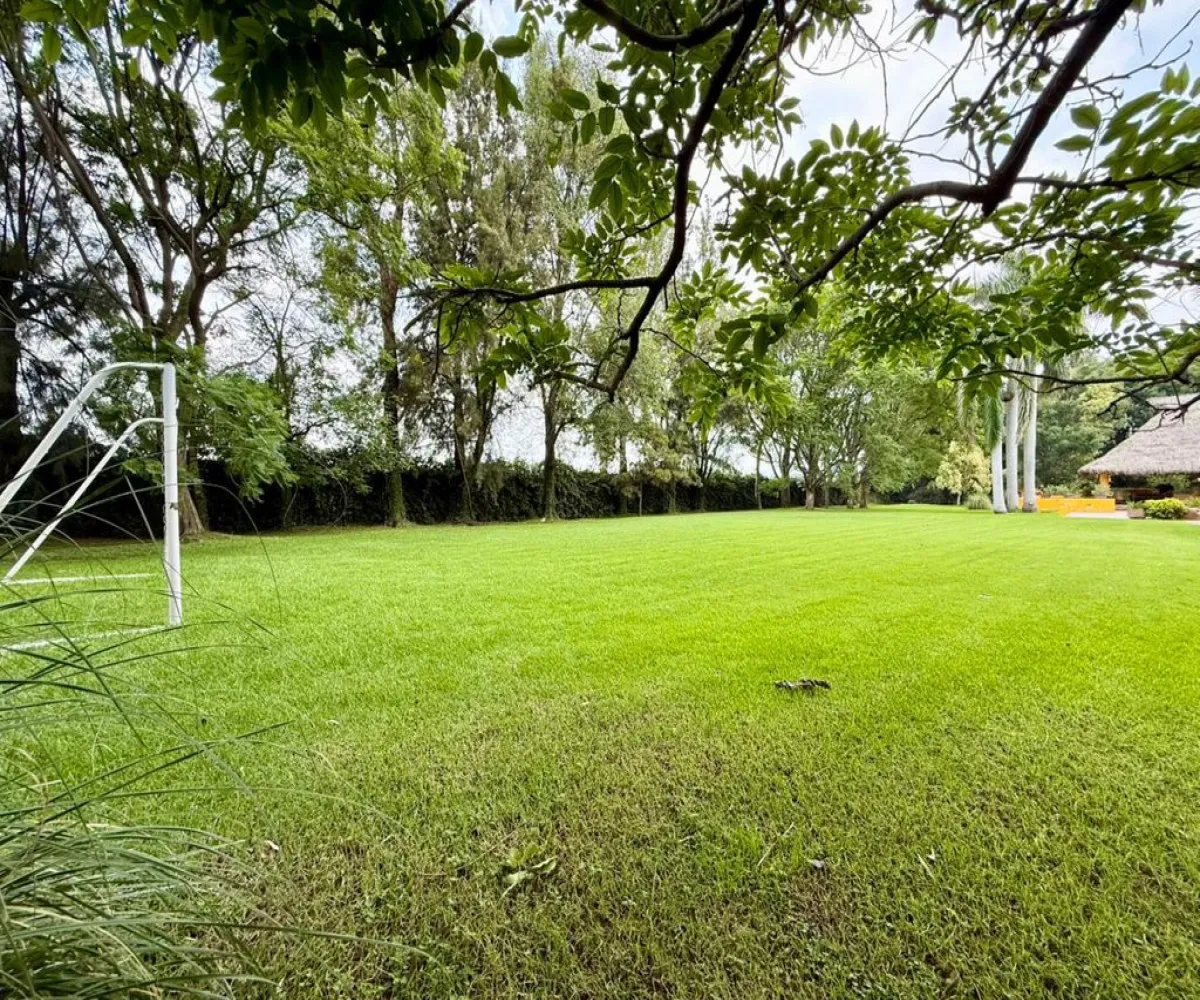 En Renta,La Mojonera,Paseo Los Naranjos S/N, Zapopan, Jalisco 45019,8 Baños,Paseo Los Naranjos,1,ptlt0bh