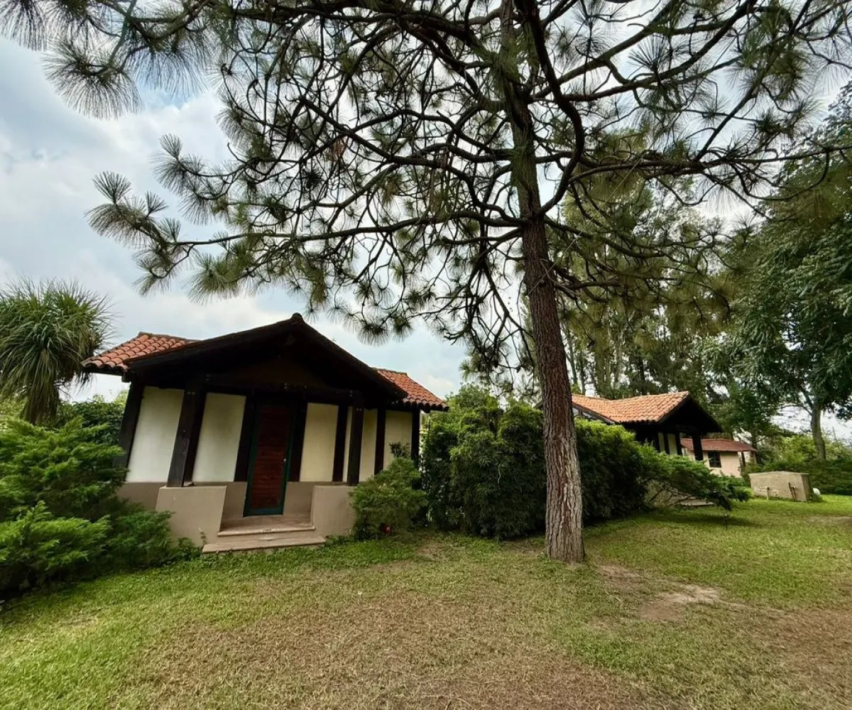 En Renta,La Mojonera,Paseo Los Naranjos S/N, Zapopan, Jalisco 45019,8 Baños,Paseo Los Naranjos,1,ptlt0bh