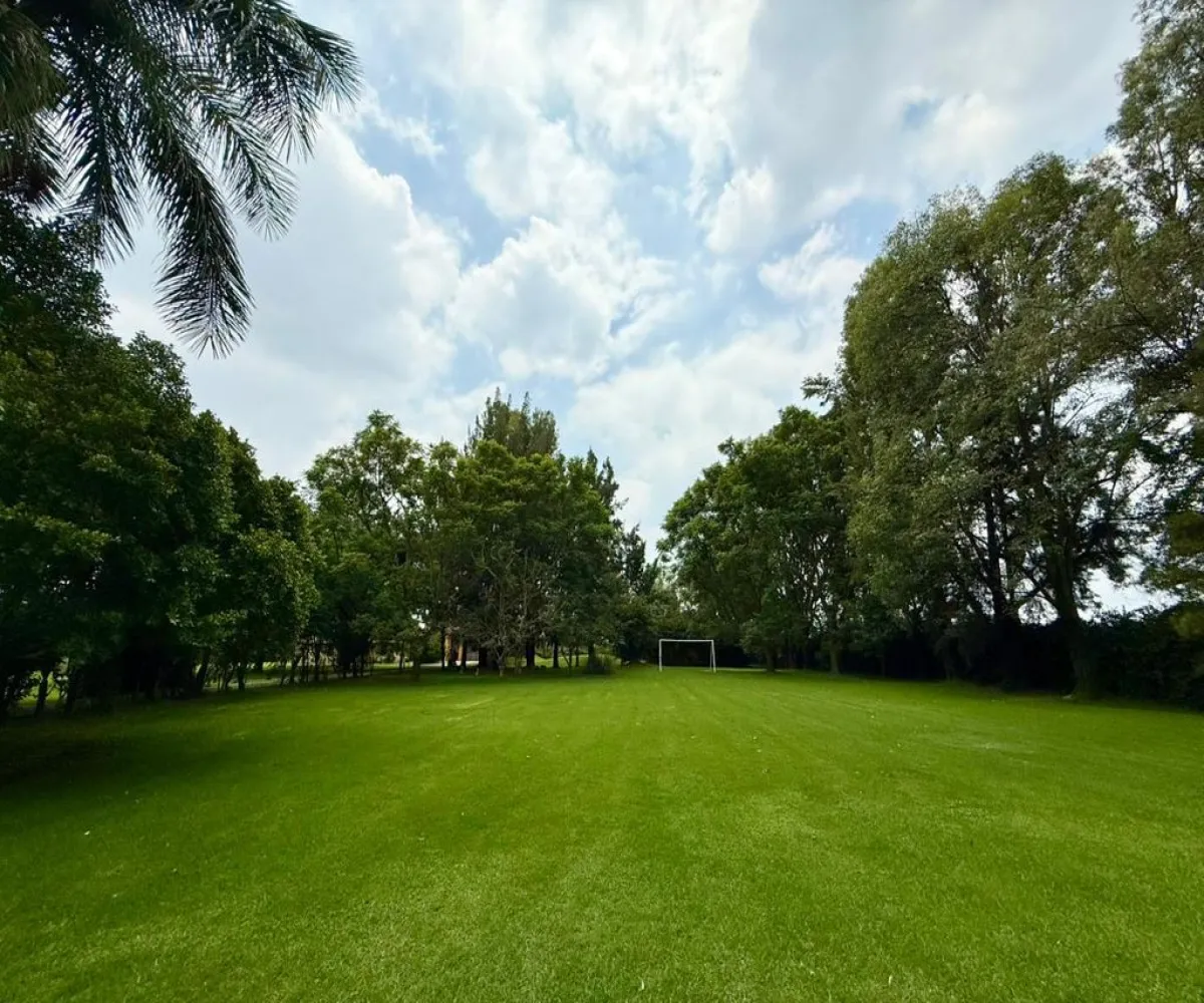 En Renta,La Mojonera,Paseo Los Naranjos S/N, Zapopan, Jalisco 45019,8 Baños,Paseo Los Naranjos,1,ptlt0bh