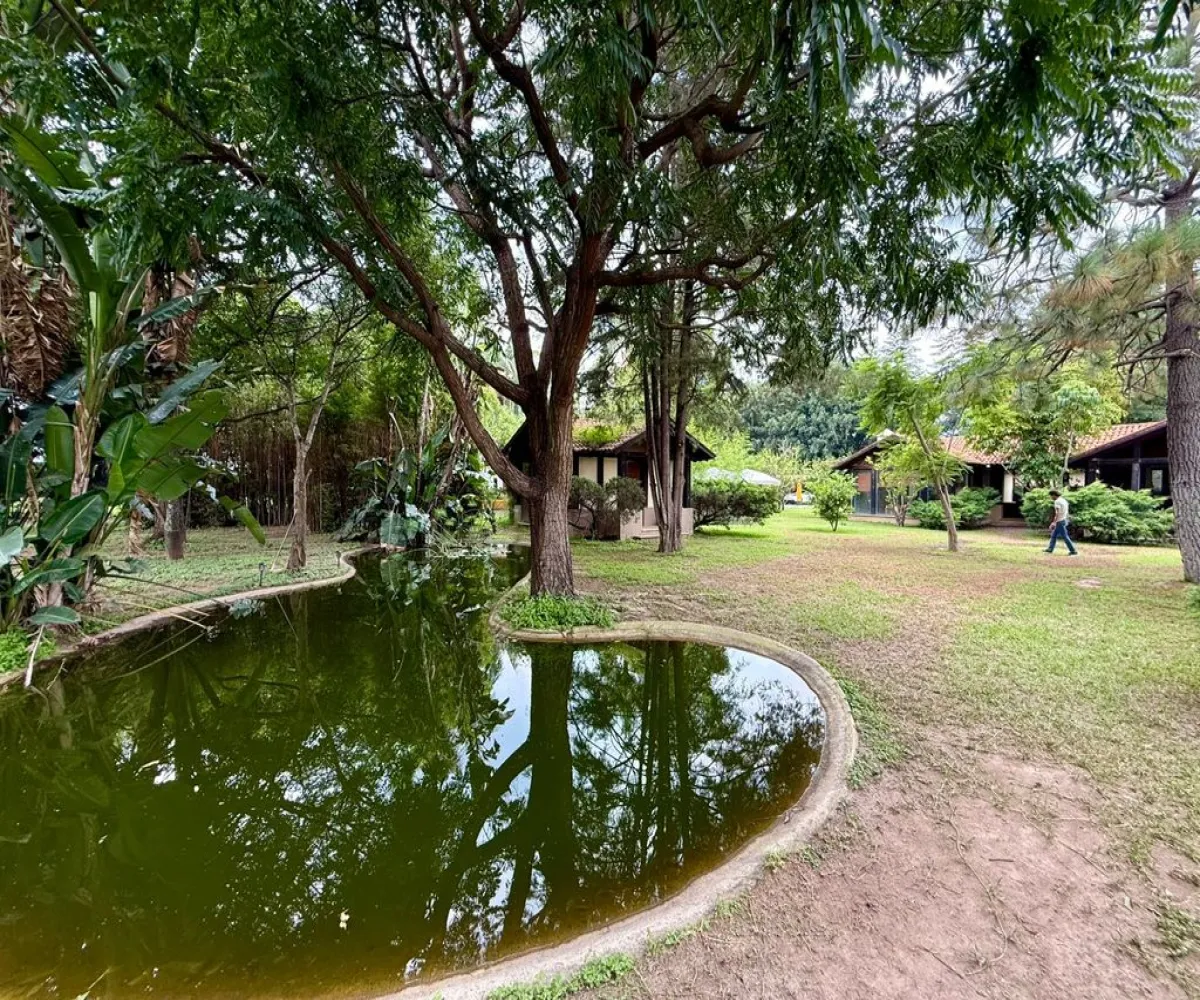 En Renta,La Mojonera,Paseo Los Naranjos S/N, Zapopan, Jalisco 45019,8 Baños,Paseo Los Naranjos,1,ptlt0bh