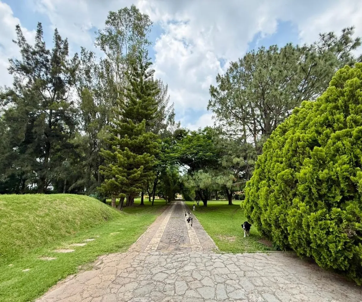 En Renta,La Mojonera,Paseo Los Naranjos S/N, Zapopan, Jalisco 45019,8 Baños,Paseo Los Naranjos,1,ptlt0bh