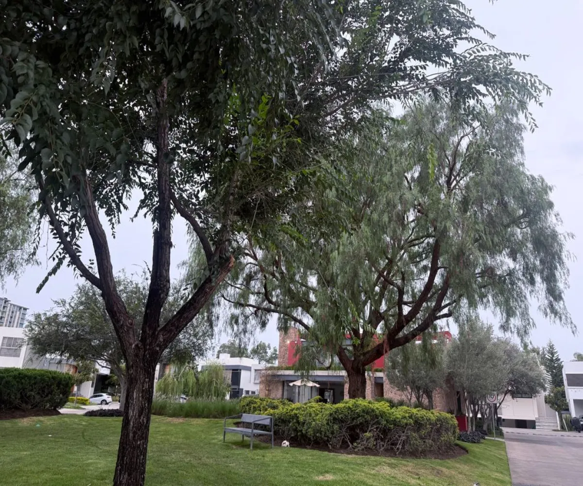 Casa En Venta,Fracc Valle Real,Avenida Paseo La Toscana 1111, Zapopan, Jalisco 45019, 3 Habitaciones,5 Baños,Avenida Paseo La Toscana,2,pRNmmC5