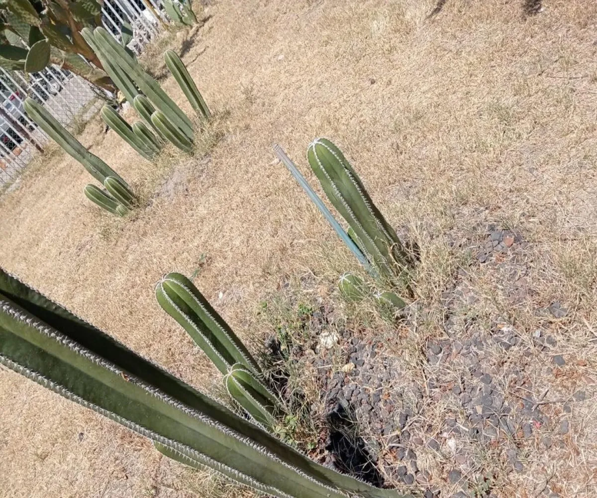 Casa En Venta,Fernando Alba Ixtlaxóchitl,Vialidad 32 L 49, Ecatepec de Morelos, México 55100, 3 Habitaciones,1 Baño,Vialidad,1,pyfelQo