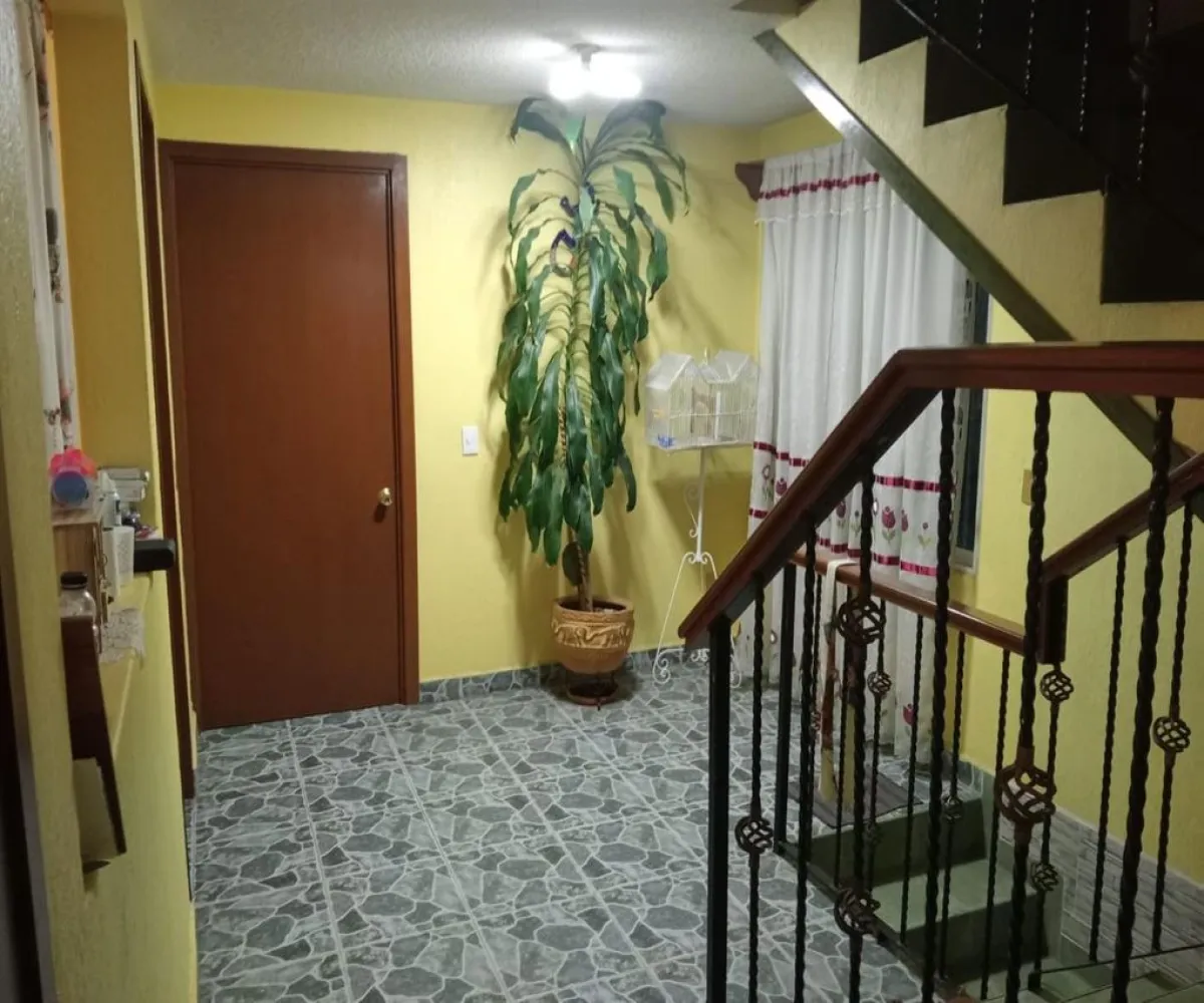 Casa En Venta,Fernando Alba Ixtlaxóchitl,Vialidad 32 L 49, Ecatepec de Morelos, México 55100, 3 Habitaciones,1 Baño,Vialidad,1,pyfelQo