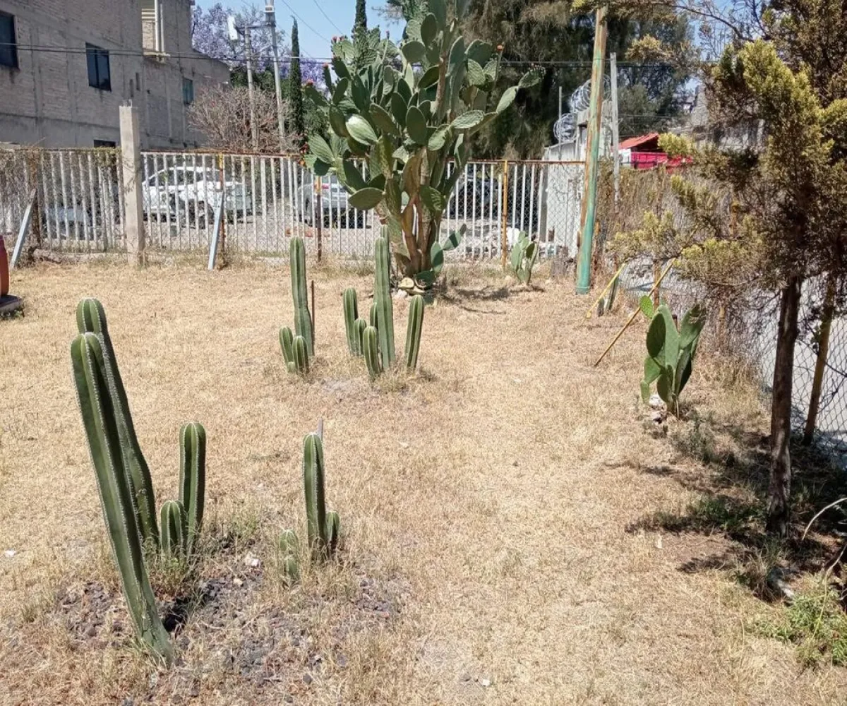 Casa En Venta,Fernando Alba Ixtlaxóchitl,Vialidad 32 L 49, Ecatepec de Morelos, México 55100, 3 Habitaciones,1 Baño,Vialidad,1,pyfelQo