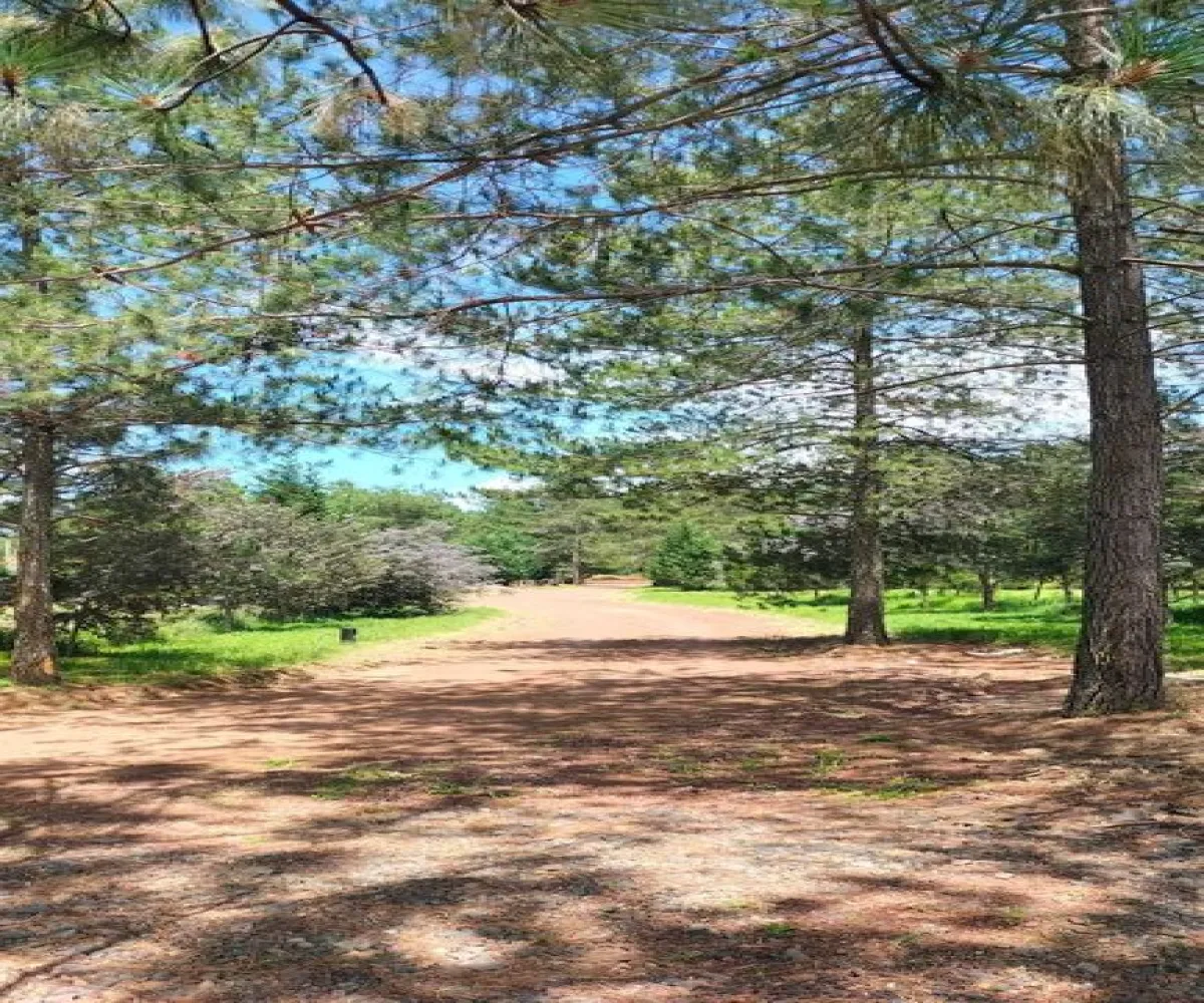 Terreno En Venta,Camino de Lomas del Poleo S/N, Tapalpa, Jalisco 49340,Camino de Lomas del Poleo,pYW8czS