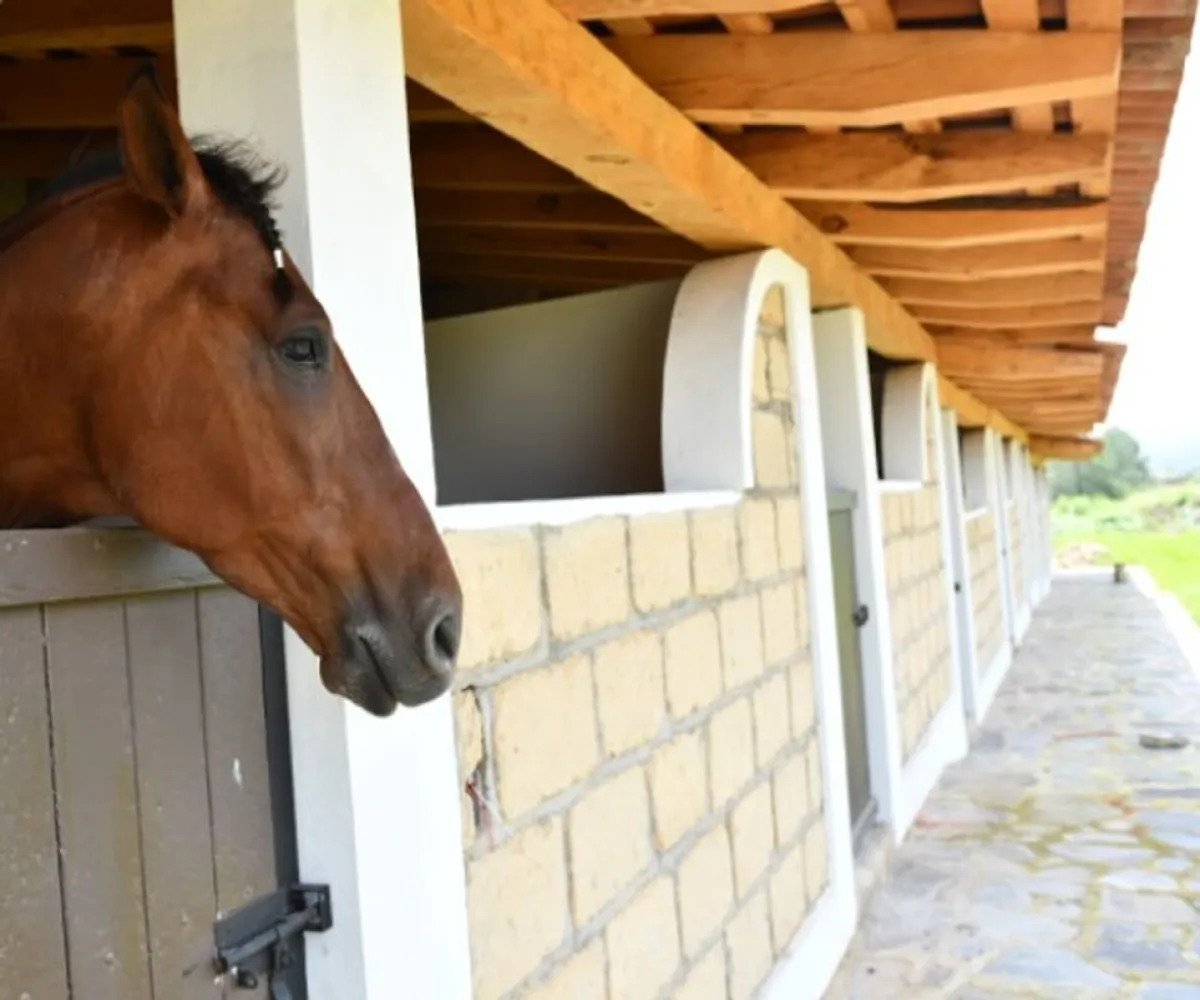 Terreno En Venta,Camino de Lomas del Poleo S/N, Tapalpa, Jalisco 49340,Camino de Lomas del Poleo,pYW8czS