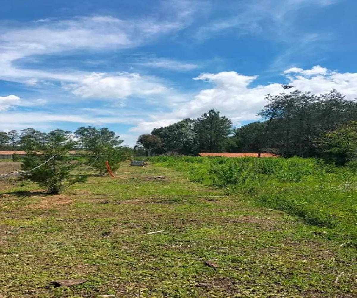 Terreno En Venta,Camino de Lomas del Poleo S/N, Tapalpa, Jalisco 49340,Camino de Lomas del Poleo,pCciE1A