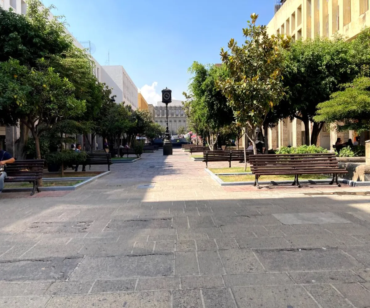 Local En Renta,Zona Centro,Paseo Degollado 90, Guadalajara, Jalisco 44100,1 Baño,Paseo Degollado,1,pBQUvoA