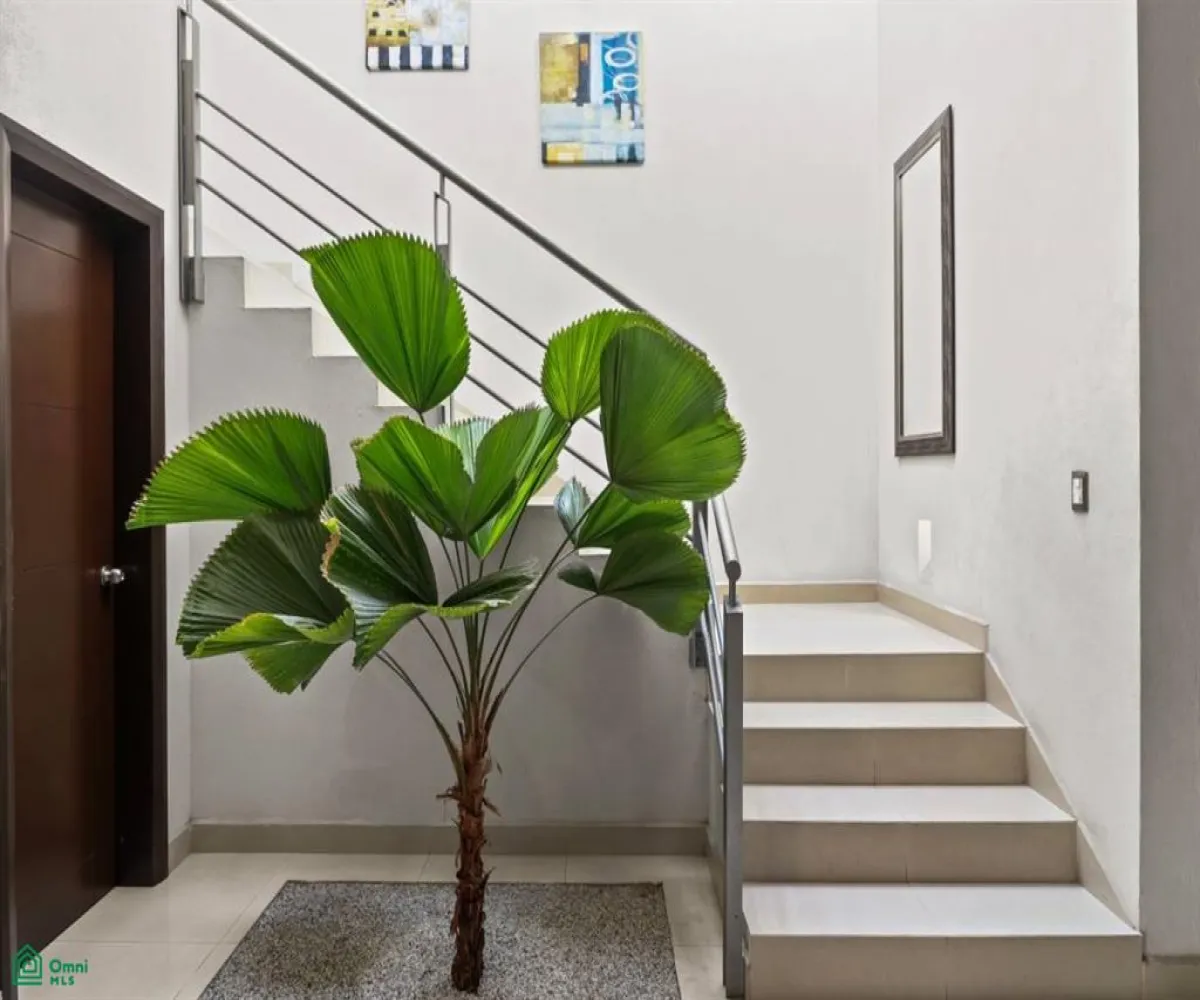 Casa En Venta,Residencial Fluvial Vallarta,Rio Cutzmala 114, Puerto Vallarta, Jalisco 48312, 4 Habitaciones,3 Baños,Rio Cutzmala,2,MX25991509