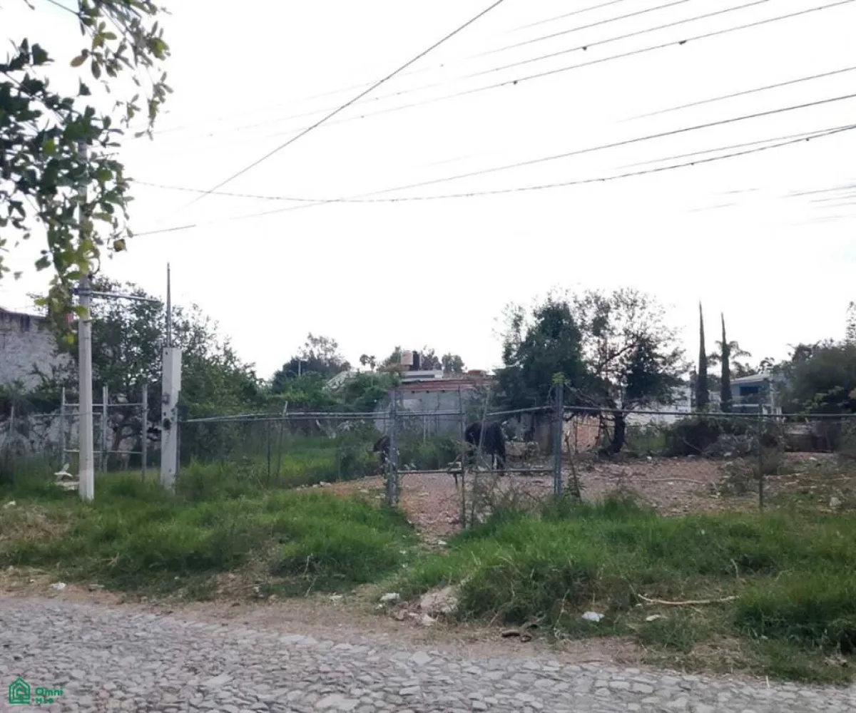 Terreno En Venta,Chapala Centro,de los charales L18, Chapala, Jalisco 45900,de los charales,MX25991770