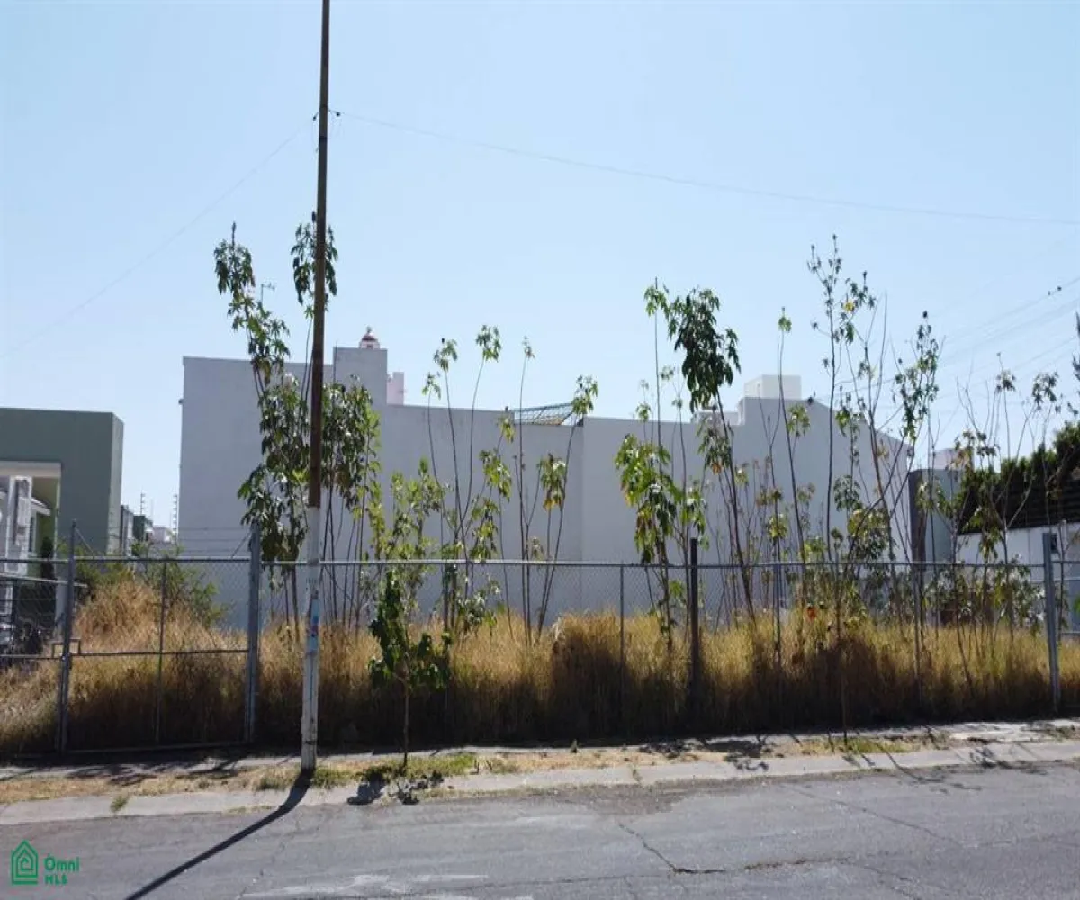 Terreno En Venta,Jardines Del Valle,Av. Magnolias 1404, Zapopan, Jalisco 45138,Av. Magnolias,MX25992513