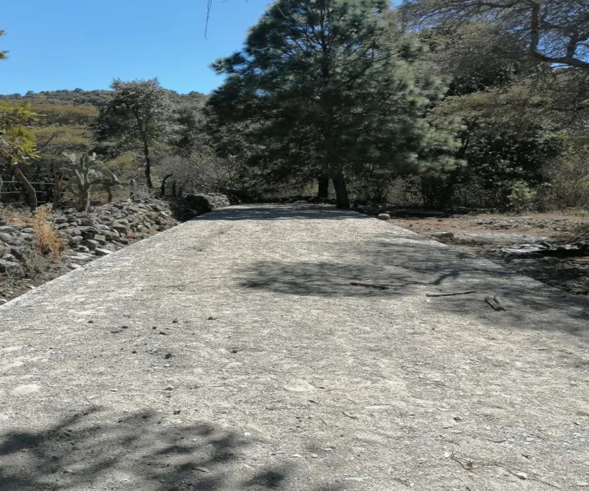 Terreno En Venta,Atemajac de Brizuela,Juarez 0 0, Atemajac de Brizuela, Jalisco 45790,Juarez,pIEG4qL