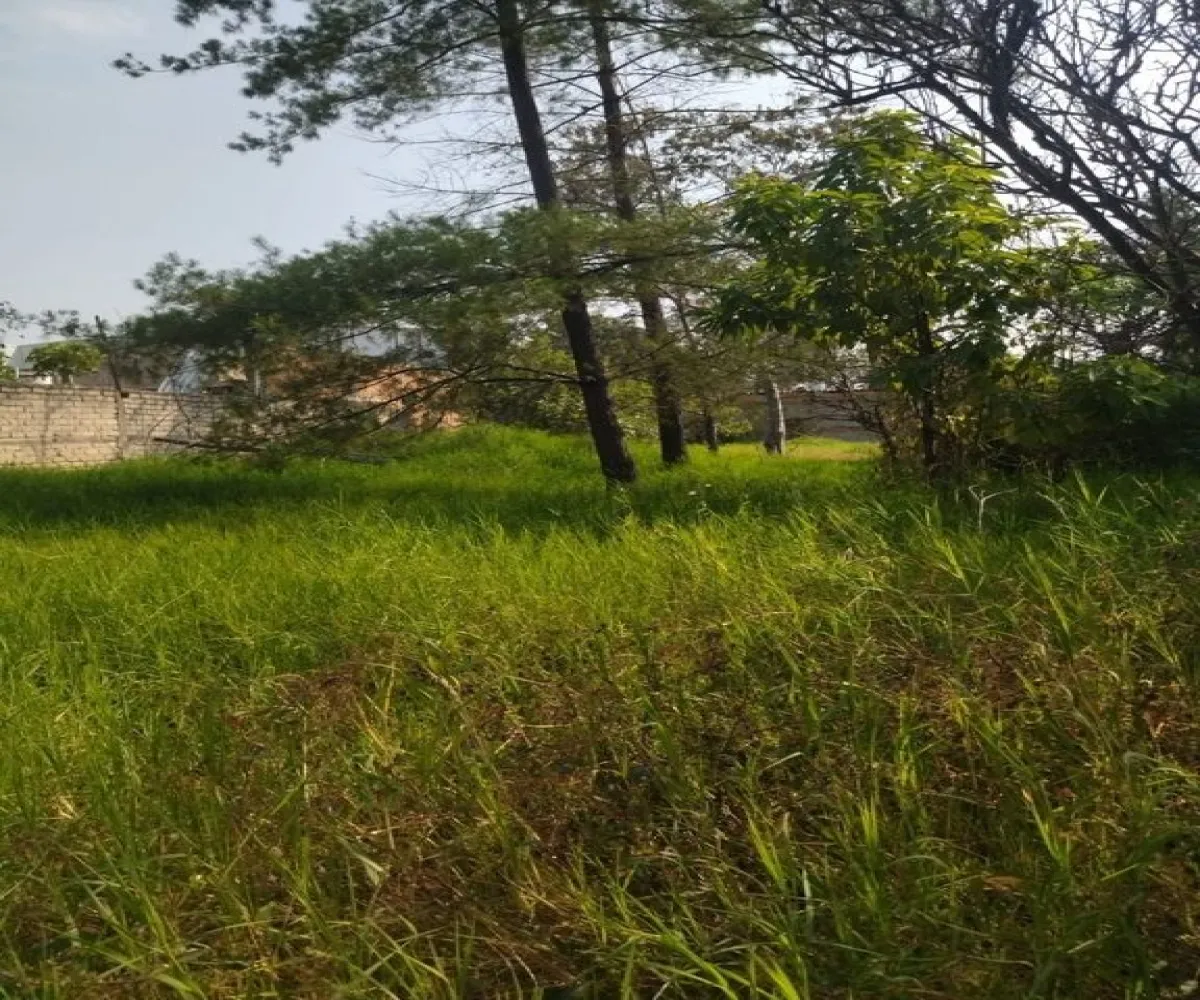 Terreno En Renta,El Vergel,Calle Jilguero 853, San Pedro Tlaquepaque, Jalisco 45595,Calle Jilguero,p0zVA32