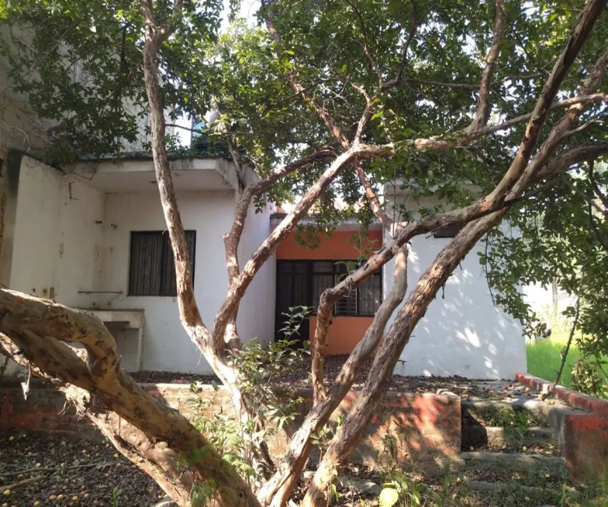 Terreno En Renta,El Vergel,Calle Jilguero 853, San Pedro Tlaquepaque, Jalisco 45595,Calle Jilguero,p0zVA32