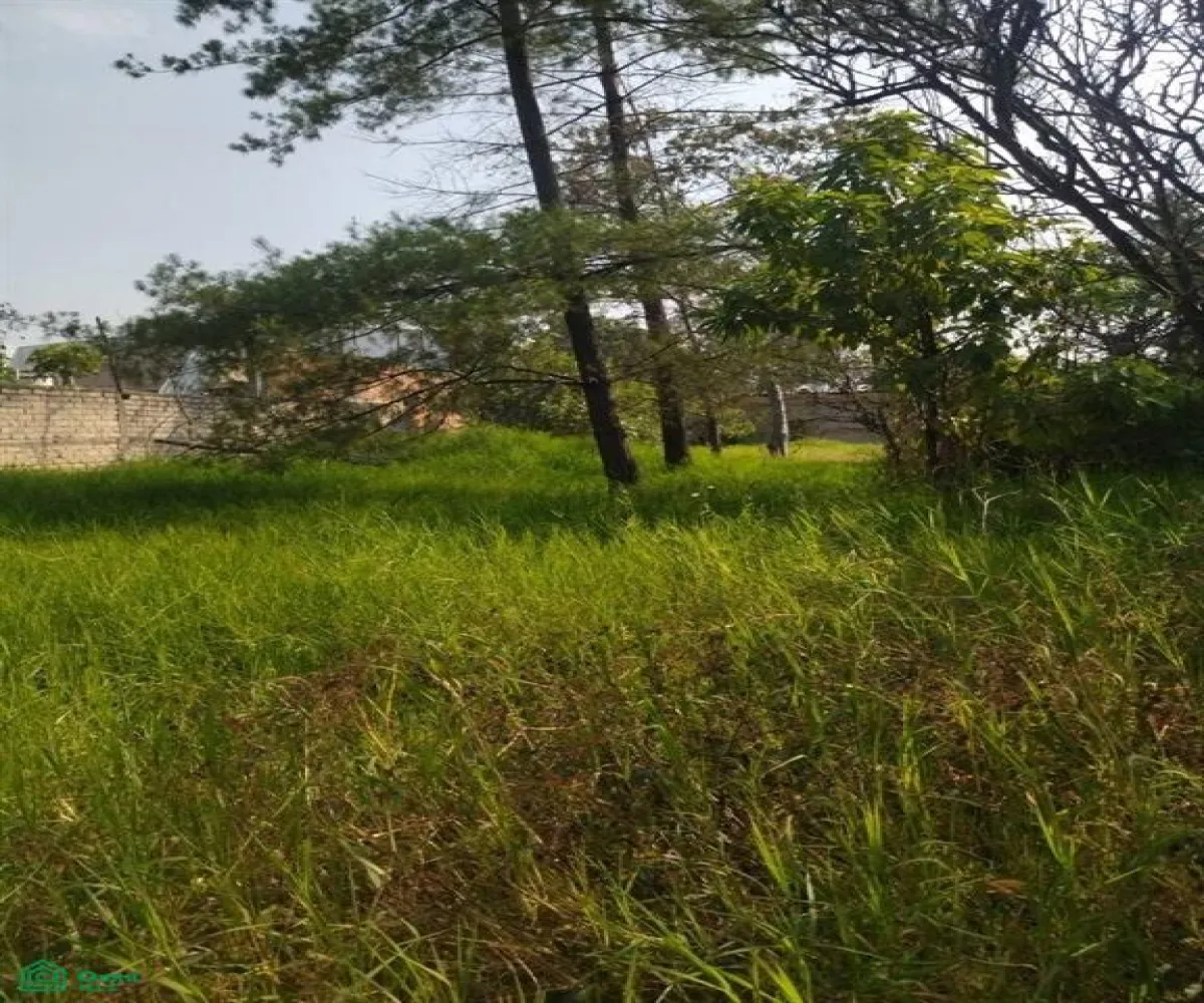 Terreno En Renta,El Vergelito,Jilguero 853, Tlaquepaque, Jalisco 45591, 1 Cuarto,1 Baño,Jilguero,1,MX25992778