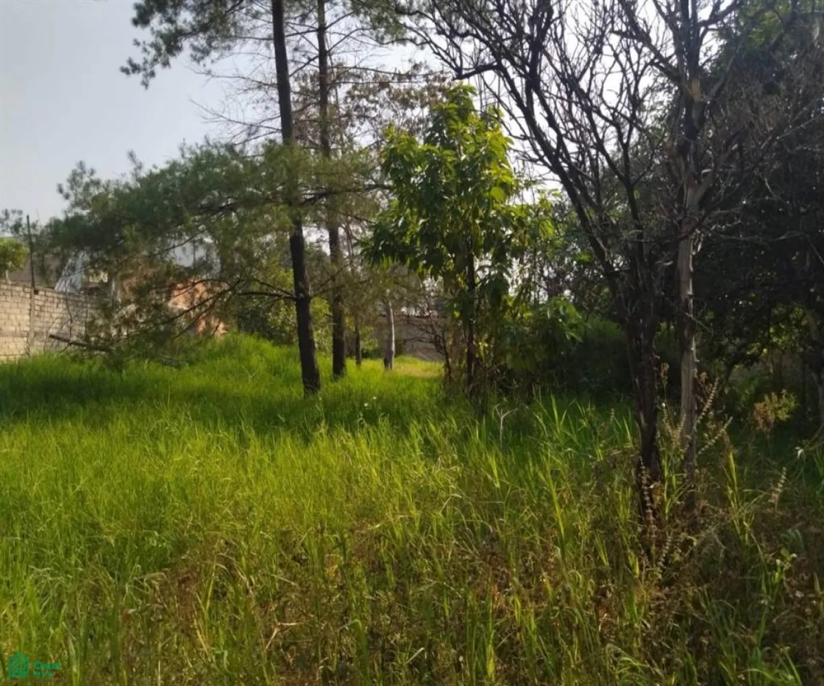 Terreno En Renta,El Vergelito,Jilguero 853, Tlaquepaque, Jalisco 45591, 1 Cuarto,1 Baño,Jilguero,1,MX25992778