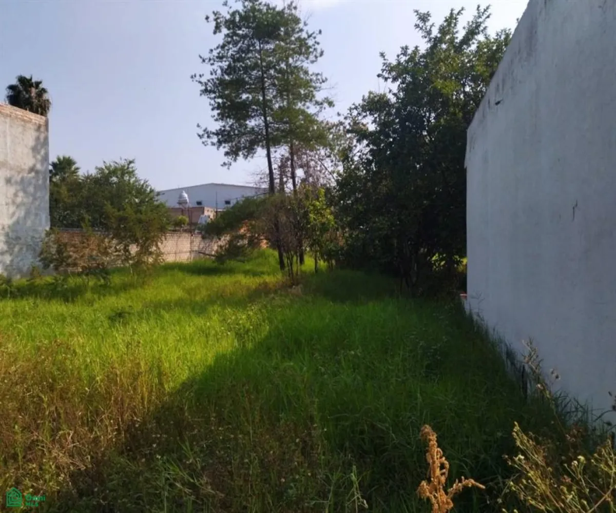 Terreno En Renta,El Vergelito,Jilguero 853, Tlaquepaque, Jalisco 45591, 1 Cuarto,1 Baño,Jilguero,1,MX25992778