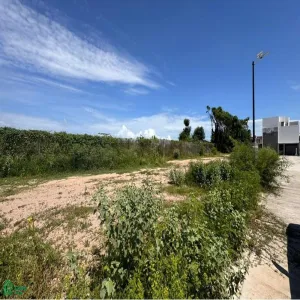 Edificio En Venta,Coapinole,Fraccionamiento Villas del Prado 39, Puerto Vallarta, Jalisco 48290,Fraccionamiento Villas del Prado,MX25993400