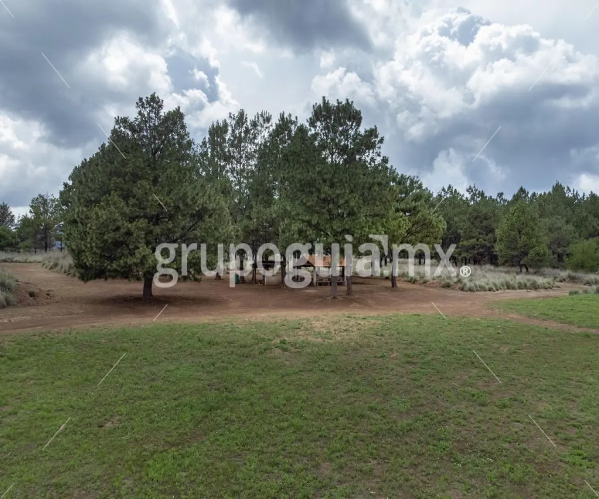 Terreno En Venta,HACIENDA SAN FRANCISCO ,Villas del Trigal S/N 22A, Tapalpa, Jalisco 49340,Villas del Trigal ,p6Vv9Hn