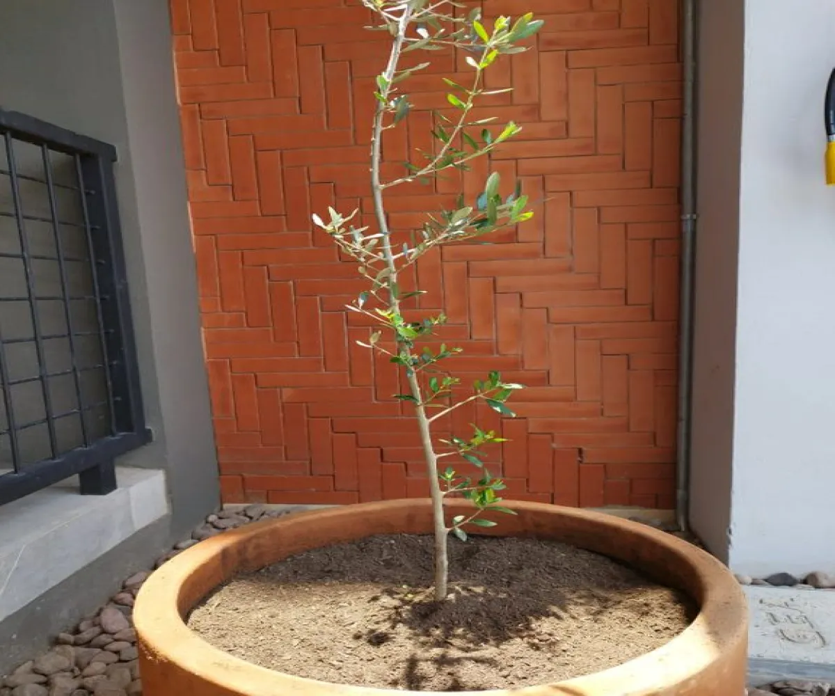 Departamento En Venta,Lomas de La Victoria,Calle Cobre 4232, San Pedro Tlaquepaque, Jalisco 45607, 2 Habitaciones,1 Baño,Calle Cobre,1,plD4xFu