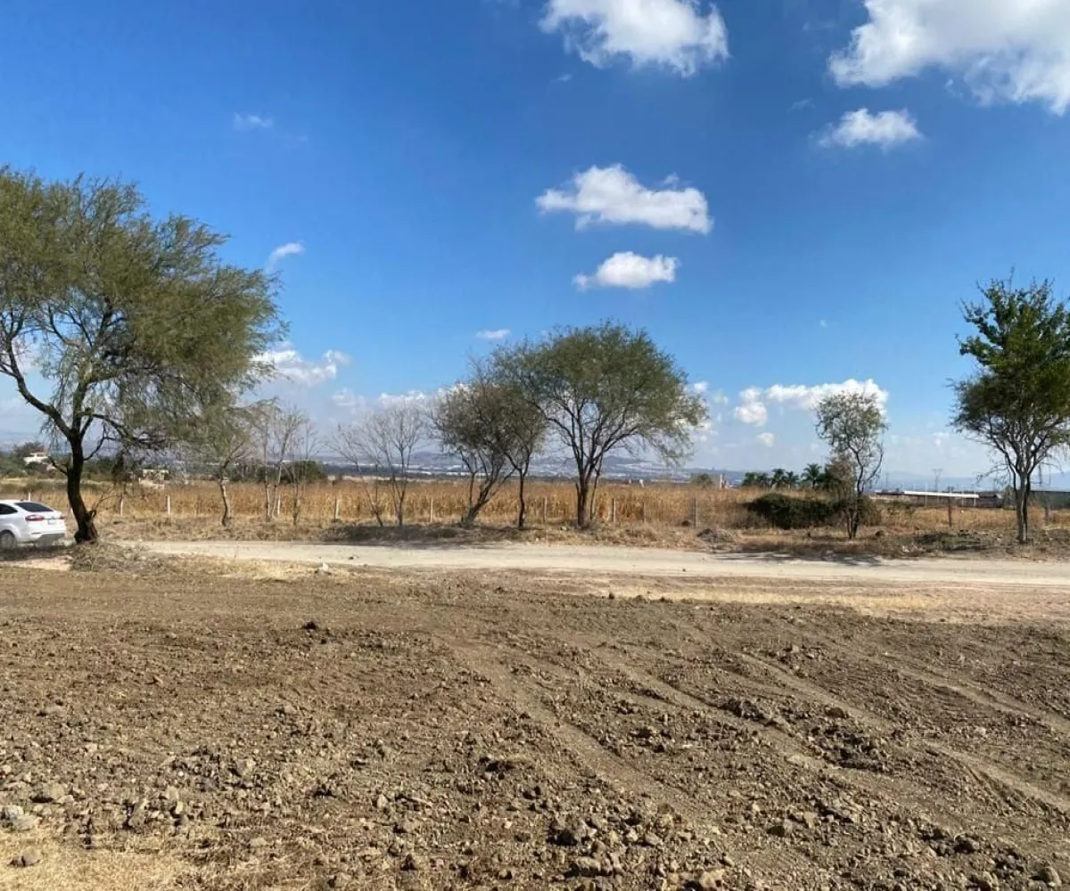Terreno En Venta,El Zapote,Calle Capulin S/N, Tlajomulco de Zúñiga, Jalisco 45640,Calle Capulin,pIyo0bl