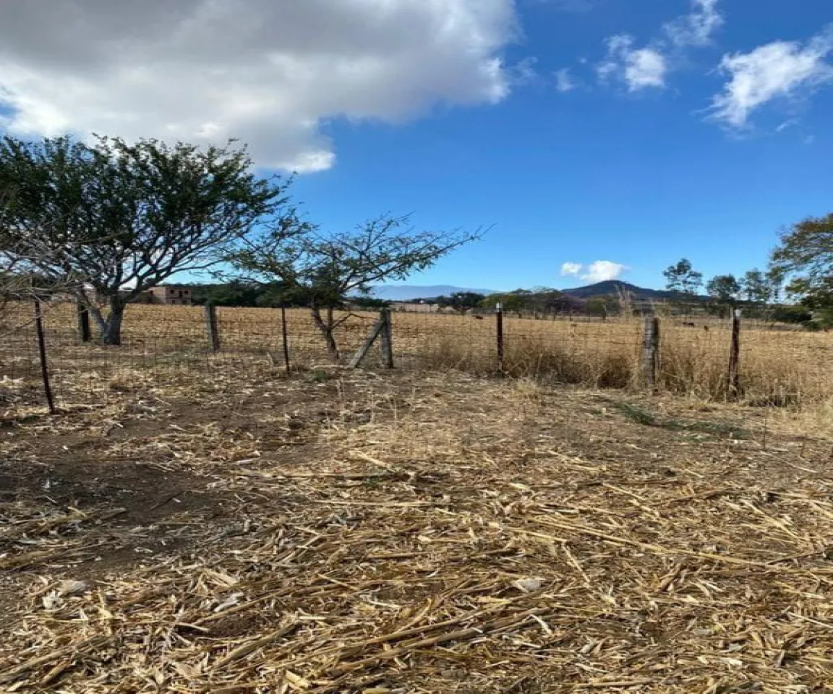 Terreno En Venta,El Zapote,Calle Capulin S/N, Tlajomulco de Zúñiga, Jalisco 45640,Calle Capulin,pIyo0bl