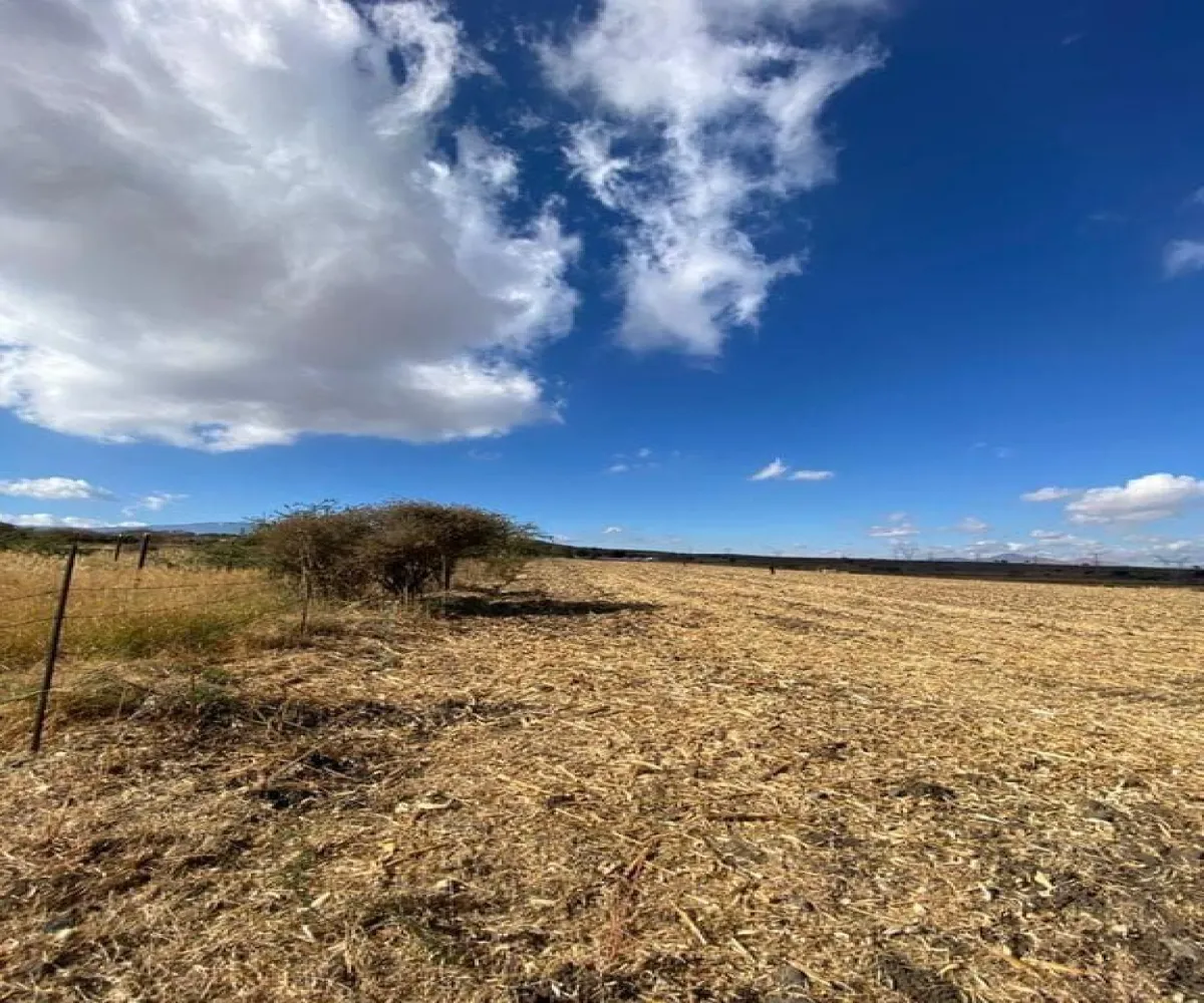 Terreno En Venta,El Zapote,Calle Capulin S/N, Tlajomulco de Zúñiga, Jalisco 45640,Calle Capulin,pIyo0bl