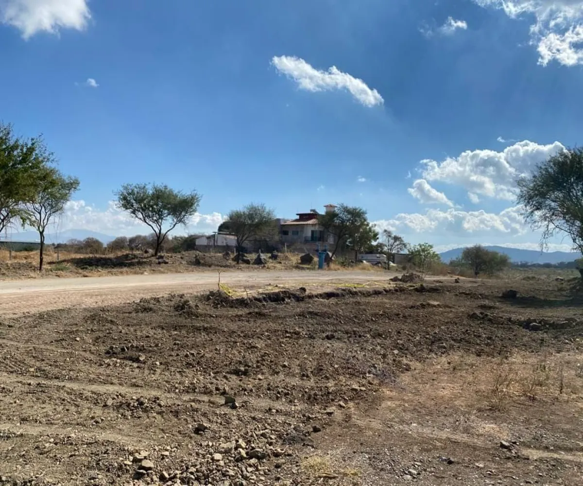 Terreno En Venta,El Zapote,Calle Capulin S/N, Tlajomulco de Zúñiga, Jalisco 45640,Calle Capulin,pIyo0bl