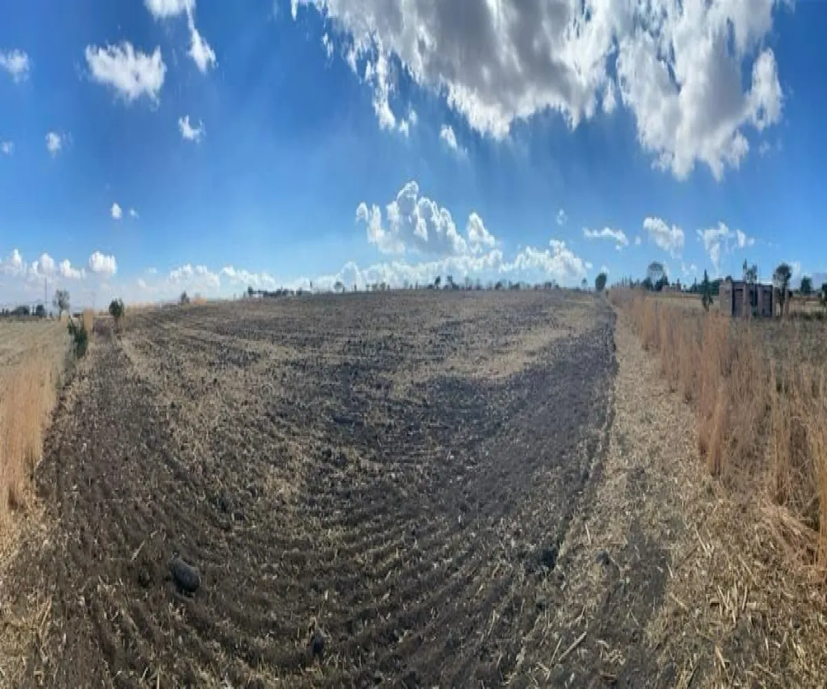 Terreno En Venta,El Zapote,Calle Capulin S/N, Tlajomulco de Zúñiga, Jalisco 45640,Calle Capulin,pIyo0bl