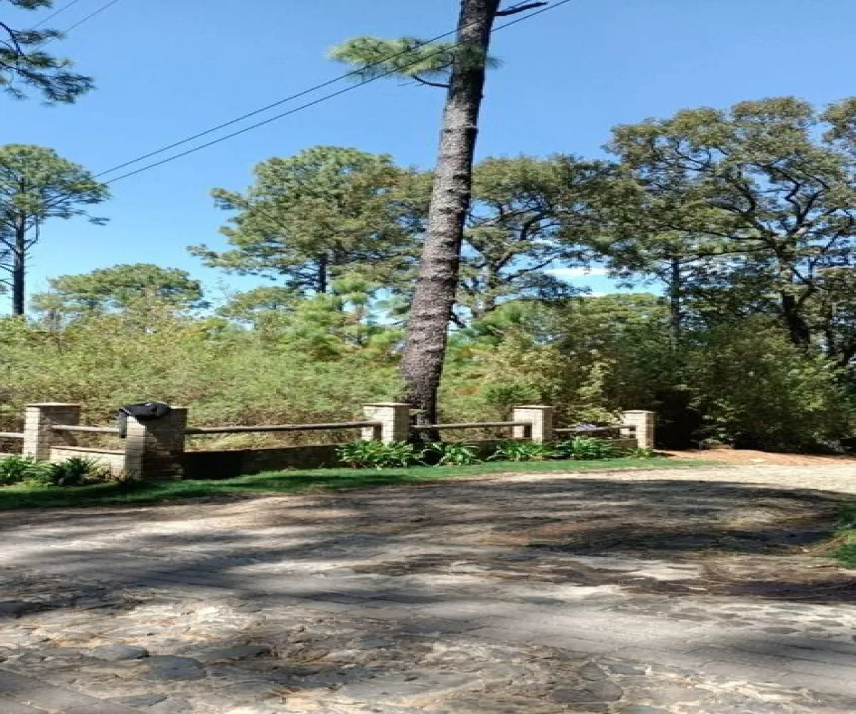 Terreno En Venta,Cruz Verde,Bosques de la Cañada S/N, Tapalpa, Jalisco 49340,Bosques de la Cañada,pjZuFyN