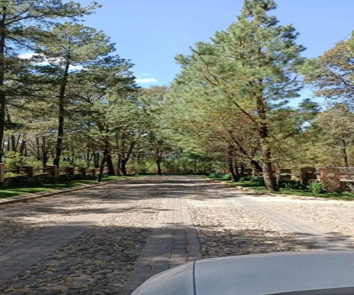 Terreno En Venta,Cruz Verde,Bosques de la Cañada S/N, Tapalpa, Jalisco 49340,Bosques de la Cañada,pjZuFyN