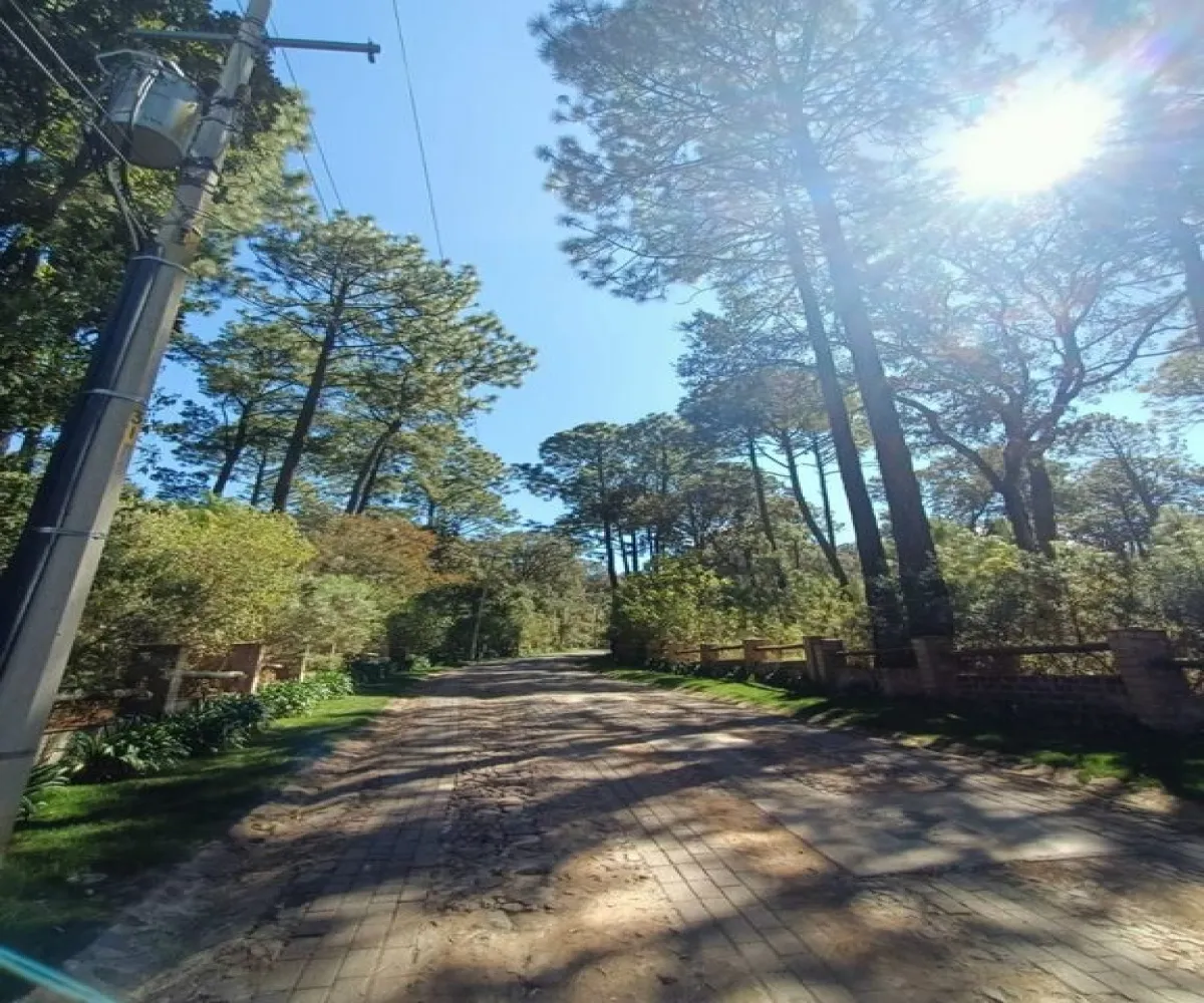 Terreno En Venta,Cruz Verde,Bosques de la Cañada S/N, Tapalpa, Jalisco 49340,Bosques de la Cañada,pjZuFyN