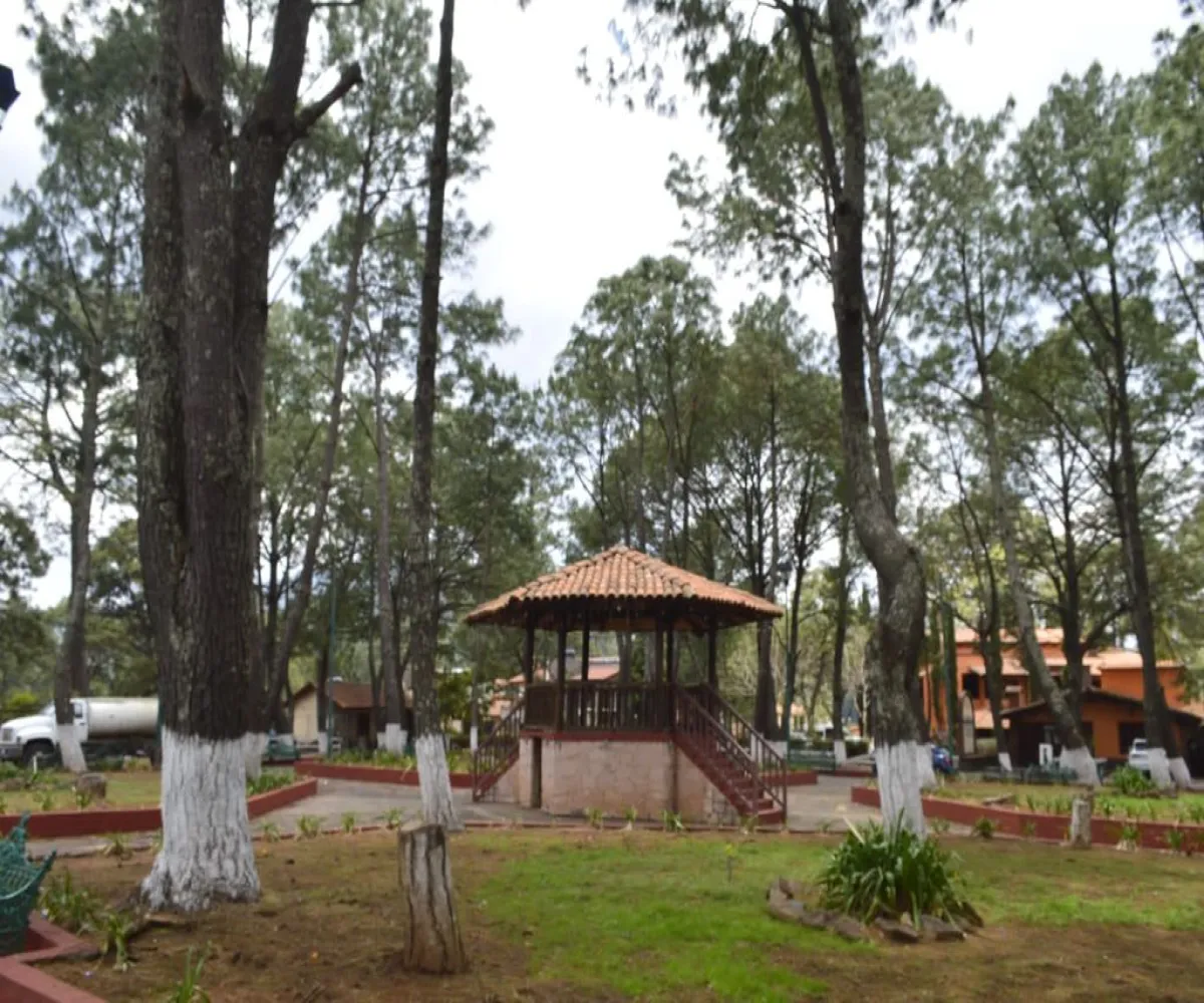 Casa En Venta,Lomas Verdes,Fraccionamiento Lomas Verdes S/N, Mazamitla, Jalisco 49500, 2 Habitaciones,2 Baños,Fraccionamiento Lomas Verdes,2,p7NcAas