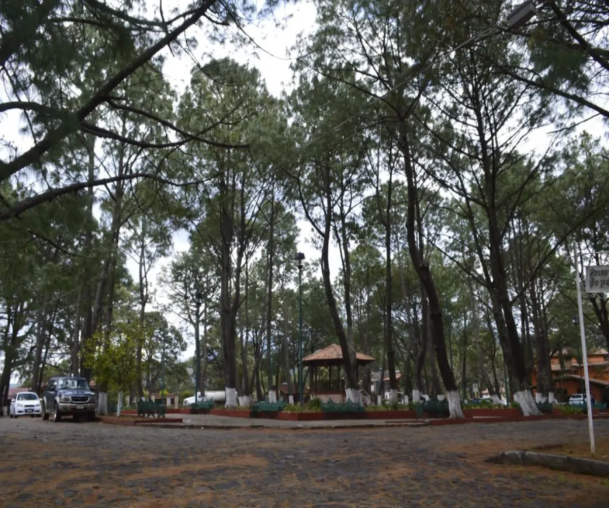 Casa En Venta,Lomas Verdes,Fraccionamiento Lomas Verdes S/N, Mazamitla, Jalisco 49500, 2 Habitaciones,2 Baños,Fraccionamiento Lomas Verdes,2,p7NcAas